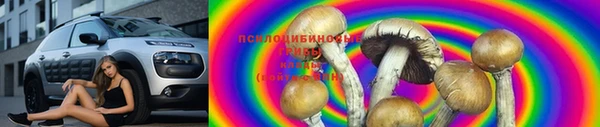 PSILOCYBIN Бронницы